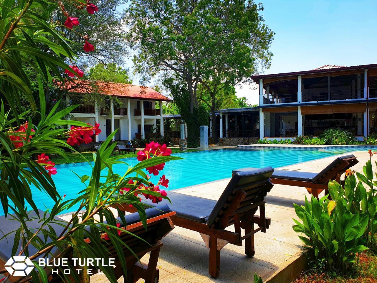 Blue Turtle Hotel Tissamaharama Exterior photo